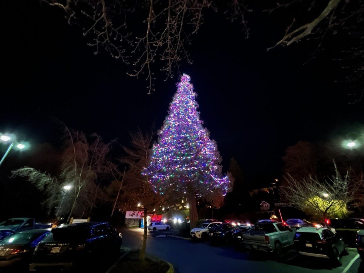 Outdoor Christmas Tree in the Village at Park Royal in West Vancouver. 
