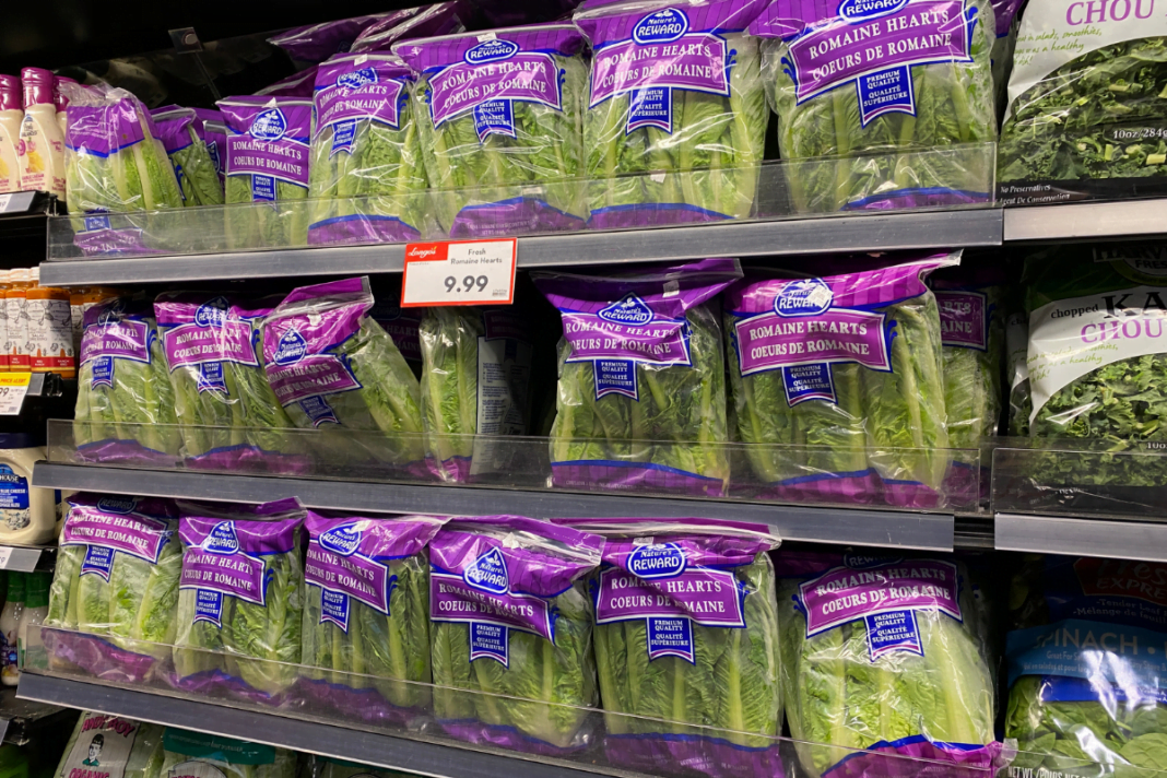 Lettuce Shortage in Canada Signals Supply Chain Challenges for Food